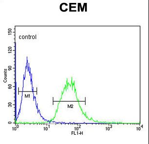 CA6 Antibody flow cytometry of CEM cells (right histogram) compared to a negative control cell (left histogram). FITC-conjugated goat-anti-rabbit secondary antibodies were used for the analysis.