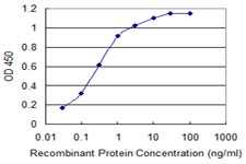 Detection limit for recombinant GST tagged CACNA1C is 0.03 ng/ml as a capture antibody.