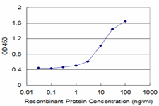 Detection limit for recombinant GST tagged CACNA1F is approximately 0.3 ng/ml as a capture antibody.