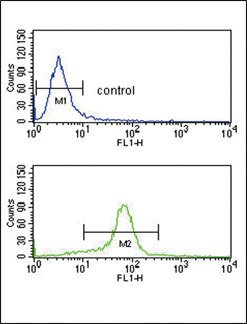 CACNA2D1 Antibody flow cytometry of K562 cells (bottom histogram) compared to a negative control cell (top histogram). FITC-conjugated goat-anti-rabbit secondary antibodies were used for the analysis.
