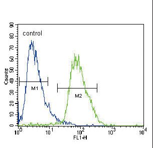 CACNA2D3 Antibody flow cytometry of HepG2 cells (right histogram) compared to a negative control cell (left histogram). FITC-conjugated goat-anti-rabbit secondary antibodies were used for the analysis.