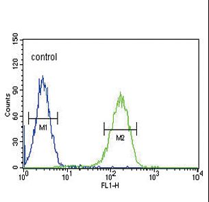 CACNA2D4 Antibody flow cytometry of K562 cells (right histogram) compared to a negative control cell (left histogram). FITC-conjugated goat-anti-rabbit secondary antibodies were used for the analysis.
