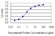 Detection limit for recombinant GST tagged CACNB4 is 0.03 ng/ml as a capture antibody.