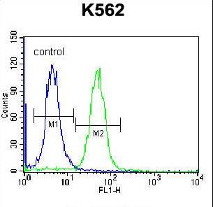 CACNG4 Antibody flow cytometry of K562 cells (right histogram) compared to a negative control cell (left histogram). FITC-conjugated donkey-anti-rabbit secondary antibodies were used for the analysis.