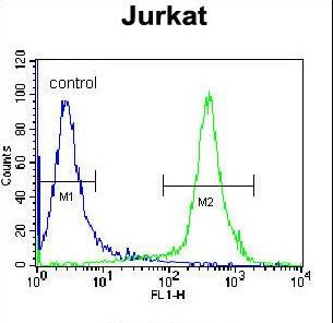 CAD Antibody flow cytometry of Jurkat cells (right histogram) compared to a negative control cell (left histogram). FITC-conjugated donkey-anti-rabbit secondary antibodies were used for the analysis.