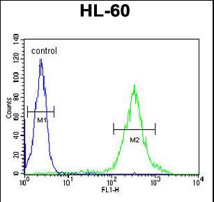 CALL5 Antibody (N-term) flow cytometry of HL-60 cells (right histogram) compared to a negative control cell (left histogram).FITC-conjugated goat-anti-rabbit secondary antibodies were used for the analysis.