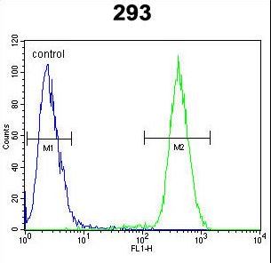 CAMLG Antibody flow cytometry of 293 cells (right histogram) compared to a negative control cell (left histogram). FITC-conjugated goat-anti-rabbit secondary antibodies were used for the analysis.