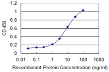 Detection limit for recombinant GST tagged CAPN3 is 0.3 ng/ml as a capture antibody.