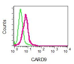 Flow cytometry of permeabilized HL-60 cells using anti-CARD9 antibody (red)or a rabbit IgG (negative) (green).