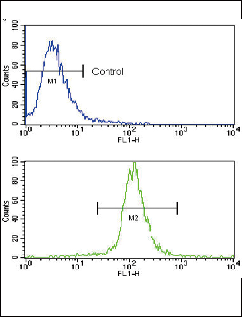 Flow cytometric of NCI-H460 cells using Caspase-3 (CASP3) Antibody (bottom histogram) compared to a negative control cell (top histogram). FITC-conjugated goat-anti-rabbit secondary antibodies were used for the analysis.