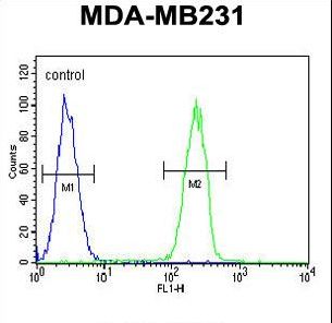 CASP5 Antibody flow cytometry of MDA-MB231 cells (right histogram) compared to a negative control cell (left histogram). FITC-conjugated goat-anti-rabbit secondary antibodies were used for the analysis.