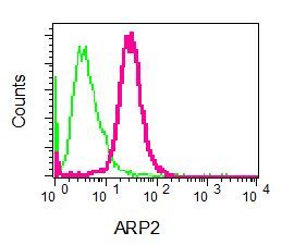 Flow cytometry of permeabilized MCF-7 cells using anti-ARP2 antibody (red)or a rabbit IgG (negative) (green).