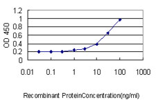 Detection limit for recombinant GST tagged ACTR2 is approximately 0.03 ng/ml as a capture antibody.