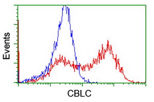 HEK293T cells transfected with either overexpress plasmid (Red) or empty vector control plasmid (Blue) were immunostained by anti-CBLC antibody, and then analyzed by flow cytometry.