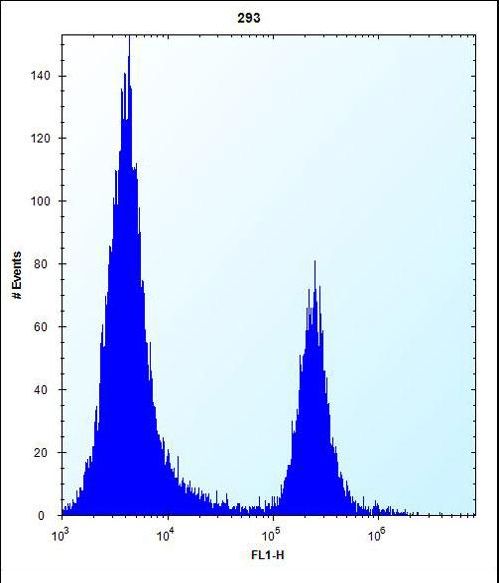 CBR3 Antibody flow cytometry of 293 cells (right histogram) compared to a negative control cell (left histogram). FITC-conjugated goat-anti-rabbit secondary antibodies were used for the analysis.
