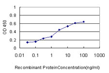 Detection limit for recombinant GST tagged CBS is approximately 0.1 ng/ml as a capture antibody.