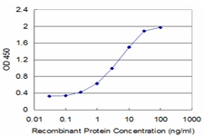 Detection limit for recombinant GST tagged CBS is approximately 0.3 ng/ml as a capture antibody.