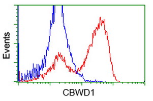 HEK293T cells transfected with either overexpress plasmid (Red) or empty vector control plasmid (Blue) were immunostained by anti-CBWD1 antibody, and then analyzed by flow cytometry.