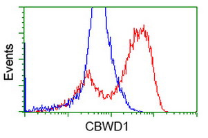 HEK293T cells transfected with either overexpress plasmid (Red) or empty vector control plasmid (Blue) were immunostained by anti-CBWD1 antibody, and then analyzed by flow cytometry.