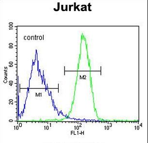 CC106 Antibody flow cytometry of Jurkat cells (right histogram) compared to a negative control cell (left histogram). FITC-conjugated goat-anti-rabbit secondary antibodies were used for the analysis.