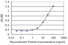 Detection limit for recombinant GST tagged CCDC115 is 0.3 ng/ml as a capture antibody.