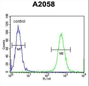 CCDC148 Antibody flow cytometry of A2058 cells (right histogram) compared to a negative control cell (left histogram). FITC-conjugated goat-anti-rabbit secondary antibodies were used for the analysis.