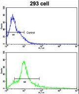 Flow cytometric of 293 cells using Activin A Receptor Type IB (ACVR1B) Antibody (bottom histogram) compared to a negative control cell (top histogram). FITC-conjugated goat-anti-rabbit secondary antibodies were used for the analysis.