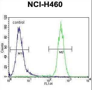 CCDC63 Antibody flow cytometry of NCI-H460 cells (right histogram) compared to a negative control cell (left histogram). FITC-conjugated goat-anti-rabbit secondary antibodies were used for the analysis.