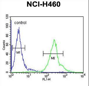 CCDC69 Antibody flow cytometry of NCI-H460 cells (right histogram) compared to a negative control cell (left histogram). FITC-conjugated goat-anti-rabbit secondary antibodies were used for the analysis.