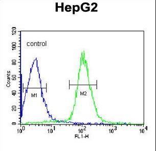 DIPA Antibody flow cytometry of HepG2 cells (right histogram) compared to a negative control cell (left histogram). FITC-conjugated goat-anti-rabbit secondary antibodies were used for the analysis.