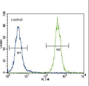 CC85C Antibody flow cytometry of 293 cells (right histogram) compared to a negative control cell (left histogram). FITC-conjugated goat-anti-rabbit secondary antibodies were used for the analysis.