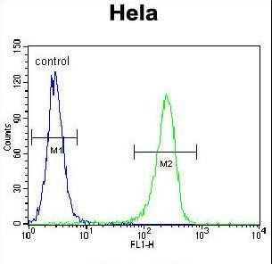 CCNH Antibody flow cytometry of HeLa cells (right histogram) compared to a negative control cell (left histogram). FITC-conjugated goat-anti-rabbit secondary antibodies were used for the analysis.