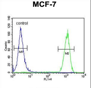 CCNT1 Antibody flow cytometry of MCF-7 cells (right histogram) compared to a negative control cell (left histogram). FITC-conjugated goat-anti-rabbit secondary antibodies were used for the analysis.