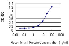 Detection limit for recombinant GST tagged CCNT2 is 0.3 ng/ml as a capture antibody.