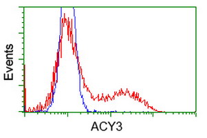 HEK293T cells transfected with either overexpress plasmid (Red) or empty vector control plasmid (Blue) were immunostained by anti-ACY3 antibody, and then analyzed by flow cytometry.