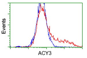 HEK293T cells transfected with either overexpress plasmid (Red) or empty vector control plasmid (Blue) were immunostained by anti-ACY3 antibody, and then analyzed by flow cytometry.