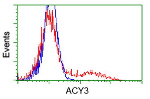 HEK293T cells transfected with either overexpress plasmid (Red) or empty vector control plasmid (Blue) were immunostained by anti-ACY3 antibody, and then analyzed by flow cytometry.