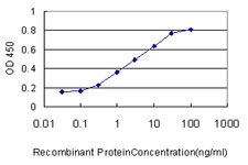 Detection limit for recombinant GST tagged ACYP1 is approximately 0.03 ng/ml as a capture antibody.