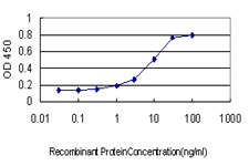 Detection limit for recombinant GST tagged ADAM12 is approximately 0.3 ng/ml as a capture antibody.