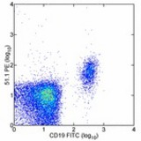 Staining of normal human peripheral blood cells with FITC anti-human CD19 (HIB19) and PE anti-human CD1d (51.1). Cells in the lymphocyte gate were used for analysis.