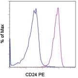 Staining of normal human peripheral blood cells with PE Mouse IgG1, K isotype control (blue histogram) or PE anti-human CD24 (SN3) (purple histogram). Cells in the granulocyte gate were used for analysis.