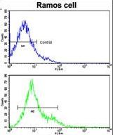 Flow cytometric of Ramos cells using CD3Z Antibody (bottom histogram) compared to a negative control cell (top histogram). FITC-conjugated goat-anti-rabbit secondary antibodies were used for the analysis.