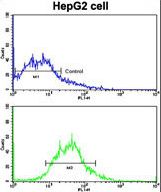 Flow cytometric of HepG2 cells using ADAM9 Antibody (bottom histogram) compared to a negative control cell (top histogram). FITC-conjugated goat-anti-rabbit secondary antibodies were used for the analysis.