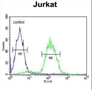 CD34 Antibody flow cytometry of Jurkat cells (right histogram) compared to a negative control cell (left histogram). FITC-conjugated goat-anti-rabbit secondary antibodies were used for the analysis.