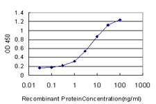 Detection limit for recombinant GST tagged ADAMDEC1 is approximately 0.3 ng/ml as a capture antibody.