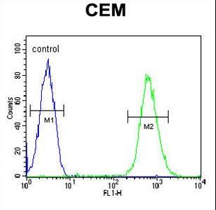 CD37 Antibody flow cytometry of CEM cells (right histogram) compared to a negative control cell (left histogram). FITC-conjugated goat-anti-rabbit secondary antibodies were used for the analysis.