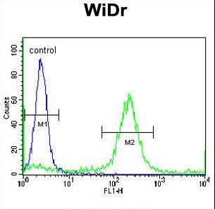 ADAMDEC1 Antibody flow cytometry of WiDr cells (right histogram) compared to a negative control cell (left histogram). FITC-conjugated goat-anti-rabbit secondary antibodies were used for the analysis.