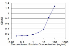 Detection limit for recombinant GST tagged ADAMTS1 is approximately 1 ng/ml as a capture antibody.