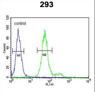 ADAMTS18 Antibody flow cytometry of 293 cells (right histogram) compared to a negative control cell (left histogram). FITC-conjugated goat-anti-rabbit secondary antibodies were used for the analysis.