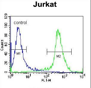 PTPRC Antibody flow cytometry of Jurkat cells (right histogram) compared to a negative control cell (left histogram). FITC-conjugated donkey-anti-rabbit secondary antibodies were used for the analysis.